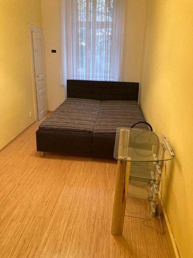 útulné Bydlení 10 Min Pěšky Do Centra Prahy * Praga
